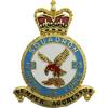 23 Squadron Badge