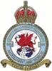614 RAF Squadron Badge.