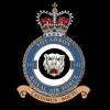 141 Squadron RAF Badge.
