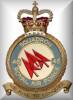 RAF 46 Squadron Badge
