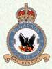 198 Squadron RAF Badge