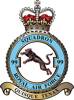 99 Squadron RAF Badge.