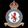 243 Squadron RAF Badge.