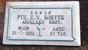 Edwards bronze plaque grave