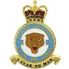 74 Squadron RAF Badge.