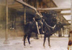 Photograph of AV Andersen (s/n 9/2143A) mounted on his horse.