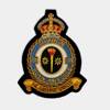 220 Squadron RAF Badge.
