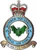RAF 9 Squadron Emblem.