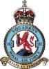 102 Squadron RAF Badge.