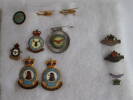 Pins from possessions for Claude Harding RNZAF.  They are from different squadrons that Claude worked in.  The two helicopter pins are of Iriquois.