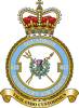 612 Squadron RAF Badge.