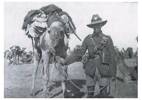 Served with the Auckland Mounted Rifles in Palestine.