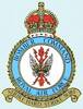 RAF Squadron Badge