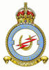 149 Squadron RAF Badge.