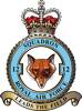 12 Squadron RAF Badge.