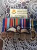 War service medals and RAF wings kept by family