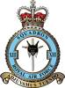 13 Squadron RAF Badge.