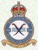 244 Squadron RAF Badge.