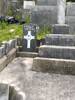 Pte # 10/1462 T J DAVIS - NZEF Wellington Infantry REGT Died 15/11/1918 aged 31yrs He is buried in the Karori Cemetery, Wellington PLOT: R.C. 3. W