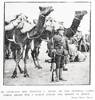 Trooper A Impey - Imperial Camel Corps at Egypt.