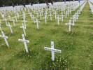 Personalised cross for W.A. BIRKETT, Auckland domain in front of Auckland War Memorial Museum for Armistice Day 100th commemorations.  
Placed by Fields of Remembrance Trust.
Photographed 18 November 2018
©2018 Sarndra Lees