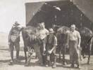 Shoeing horses Zeitoun Camp, Egypt, David 3rd from left (No hat). Photo courtesy of Jennifer Devon his great niece.