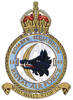 144 Squadron RAF Badge.