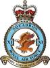 RAF Squadron 11 Badge