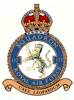 132 Squadron RAF Badge.