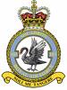 103 Squadron RAF Badge.