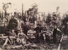 Alfred Anderson, with black hat and beard, died aged 32 at the battle of the Somme in France in First World War.

Others pictured:
Alfred’s father, John August Anderson (born 1852) in Gothenburg Sweden standing at back with cap on.
Alfred’s brother, Alexander Anderson (born 1892) sitting with axe in hand, next to the young boy.

At Hinahina cutting logs for a local saw mill using a traction engine, axes and horse drawn trolly.