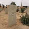 Photo was taken on a visit to the Commonwealth War Cemetery in El Alamein, February 2018.