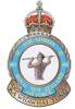 485 Squadron RAF Badge.