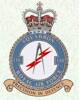 116 Squadron RAF Badge.