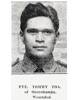 2nd NZ Maori Pioneer Battalion
Of Otorohanga, Wounded
