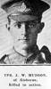 Portrait, Auckland Weekly News 1916 - No known copyright restrictions