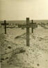 Wooden cross on his grave, El Alamein War Cemetery. Image provided by John Ross.