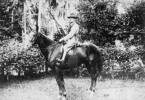 James W Burdett, on horse, holding rifle, bandolier, 1896 pattern triangular socket bayonet hanging from his belt, horse furniture is the correct NZMR saddle (pat 1902) and bridle; coconut palms in background. - No known copyright restrictions