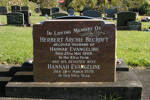 Headstone, Wellsford Cemetery (photo John Halpin, 2011) - CC BY John Halpin