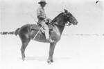 Lieutenant Allison mounted on his horse, Photographer A. Rhodes in E.G. Williams Album No 213, p 29, Auckland War Memorial Museum Library - No known copyright restrictions