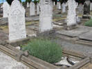 Family memorial, Linwood Cemetery (photo Sarndra Lees, January 2010) - Image has All Rights Reserved.