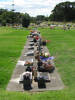 Grave, wide view, Manukau Memorial Gardens Cemetery (photo Sarndra Lees 2010) - This image may be subject to copyright