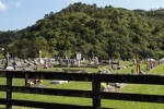 General view, Puhoi Cemetery (photo J. Halpin 2011) - This image may be subject to copyright