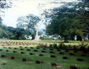 Ambon War Cemetery, Indonesia, view 1, graves and the Cross of Sacrifice (1997) - This image may be subject to copyright