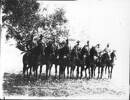 Group photo, 4th Contingent 1901, mounted - No known copyright restrictions