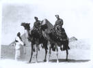 Group, 2 soldiers on camels, Norman (on the right) and an unidentified friend. Norman had written the following narration on the back of this photo- "My mate of the same tent & myself. Riding a camel is like being on the top deck of an ocean liner. Ha! Ha! Dec 28th 1940" - This image may be subject to copyright