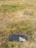 Image of gravestone at Ruru Lawn Cemetery provided by Sarndra Lees 2012 - area - Image has All Rights Reserved.