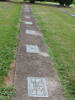 Gravestones in row, Hautapu Cemetery, Cambridge (photo Sarndra Lees, January 2010) - Image has All Rights Reserved.