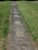 Gravestones in a row, Hautapu Cemetery (photo Sarndra Lees January 2010) - Image has All Rights Reserved.