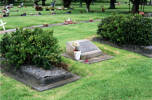 Grave, Purewa Cemetery, Auckland (photo P. Baker 2011) - This image may be subject to copyright